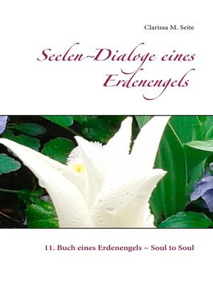 cover image of Seelen-Dialoge eines Erdenengels